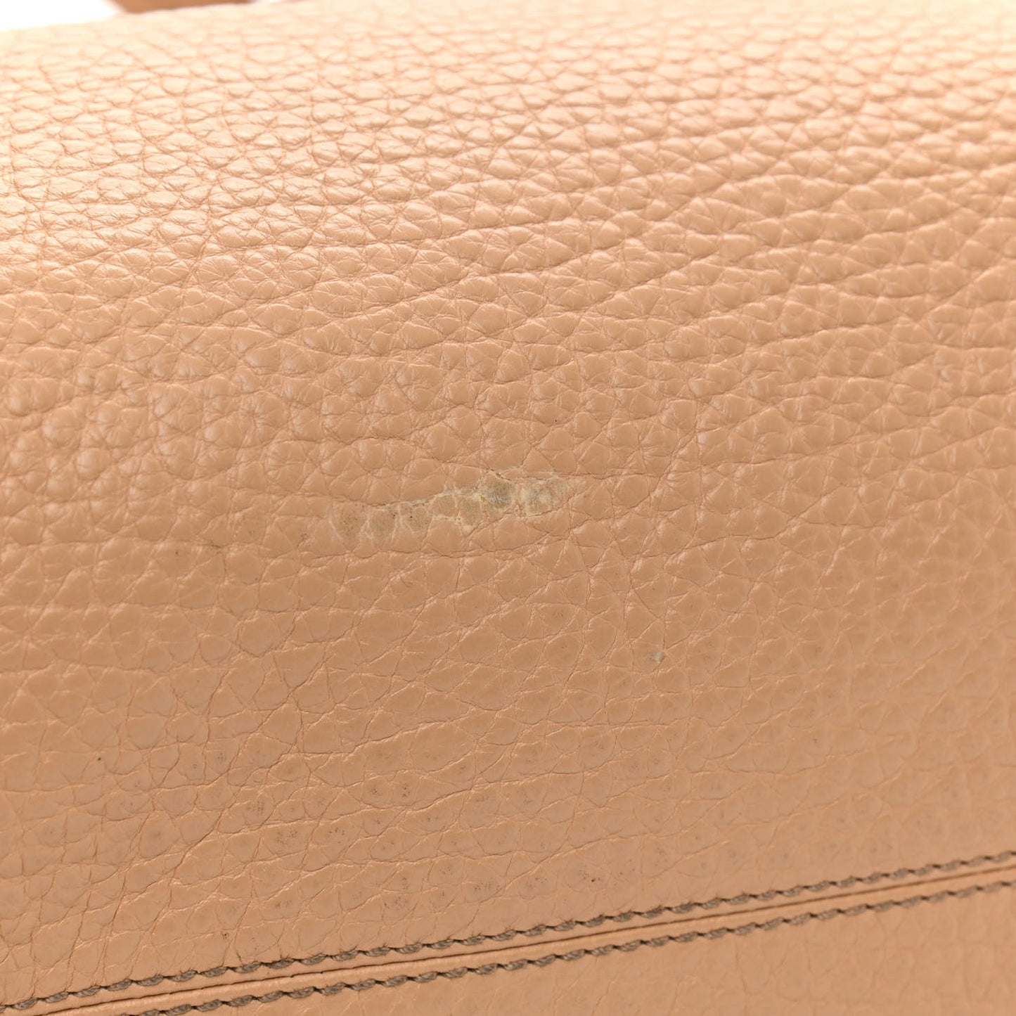 Pebbled Calfskin Small Chameleon Tote Beige