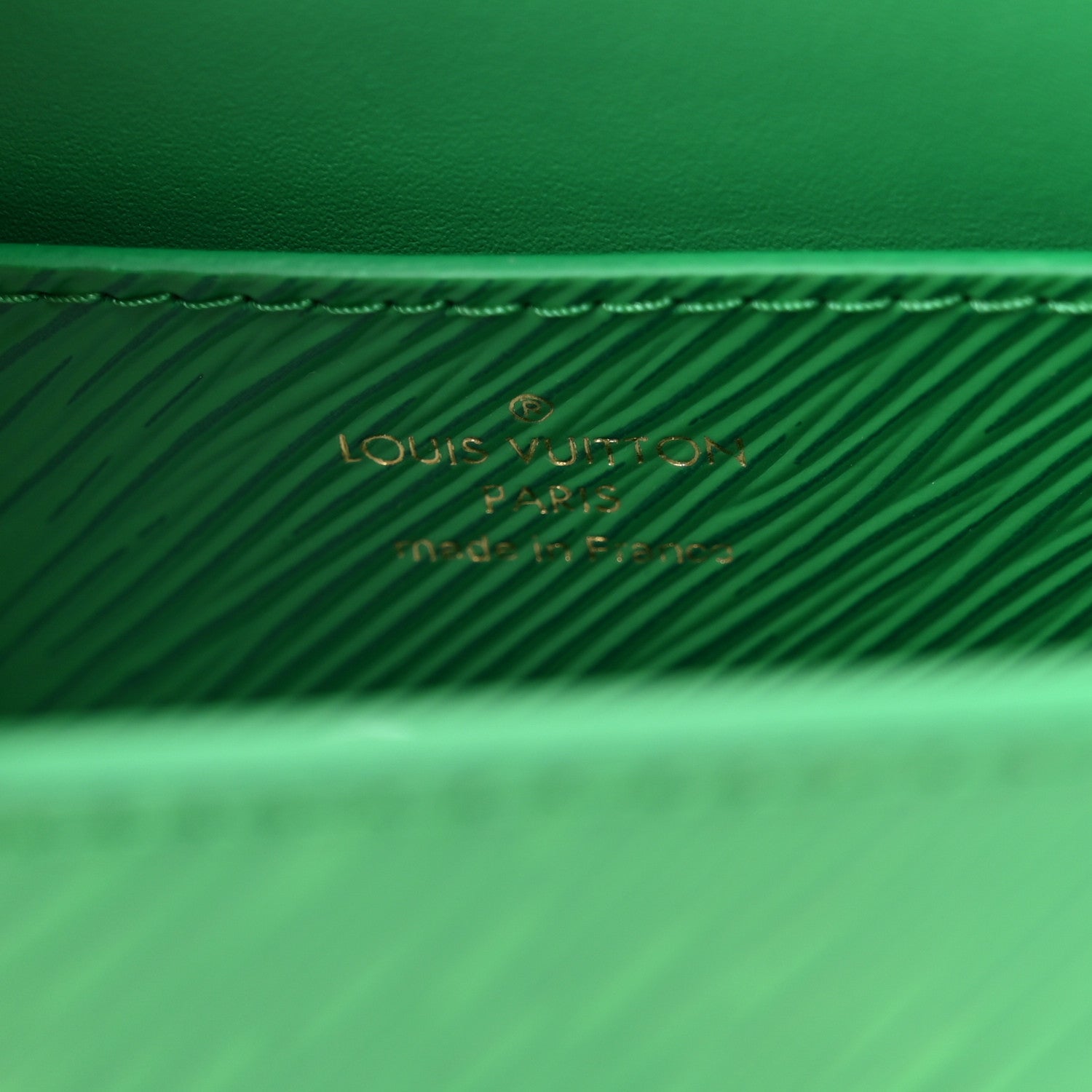 Louis Vuitton Epi Twist Shoulder Bag PM Serpentine Green 6 of 10