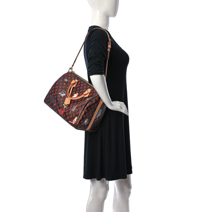 Louis Vuitton Catogram Speedy Bandouliere 30 Marron 3 of 16