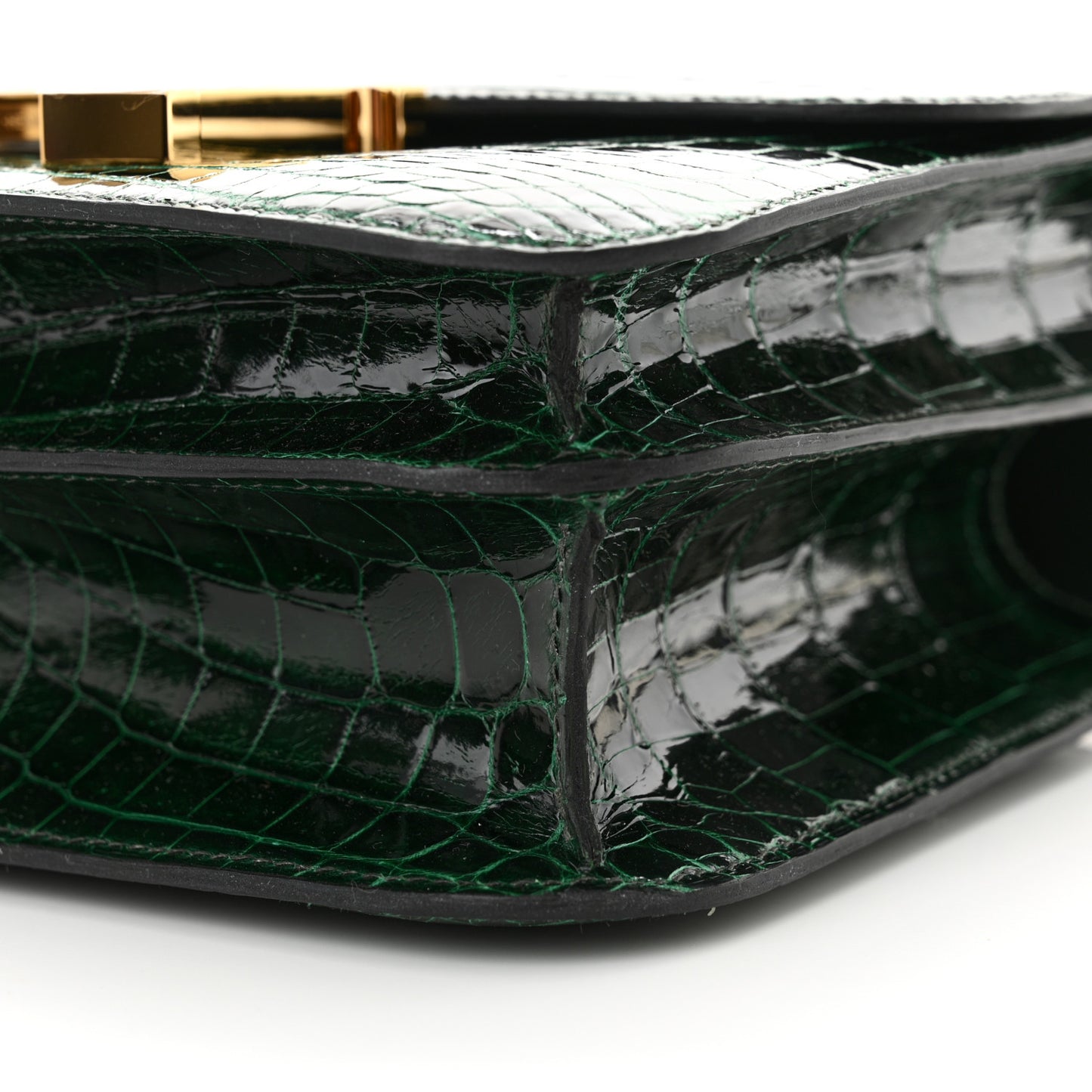 Shiny Niloticus Crocodile Constance 24 Vert Fonce