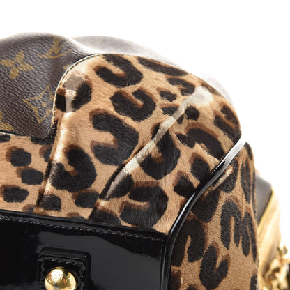 Louis Vuitton Monogram Leopard Stephen Bag 10 of 16