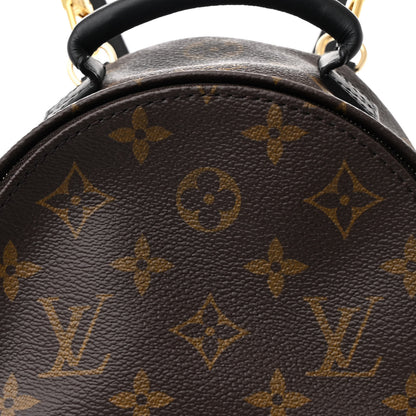 Louis Vuitton Monogram Palm Springs Backpack Mini 8 of 11