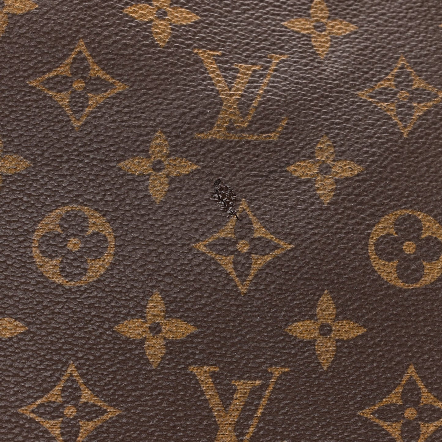 Monogram Sully MM