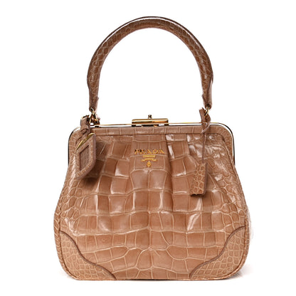 Prada Crocodile Frame Shoulder Bag Brown 1 of 7