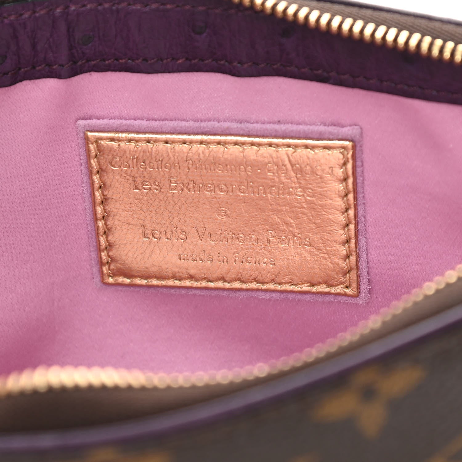Louis Vuitton Monogram Suede Ostrich Les Extraordinaires Pochette 6 of 12