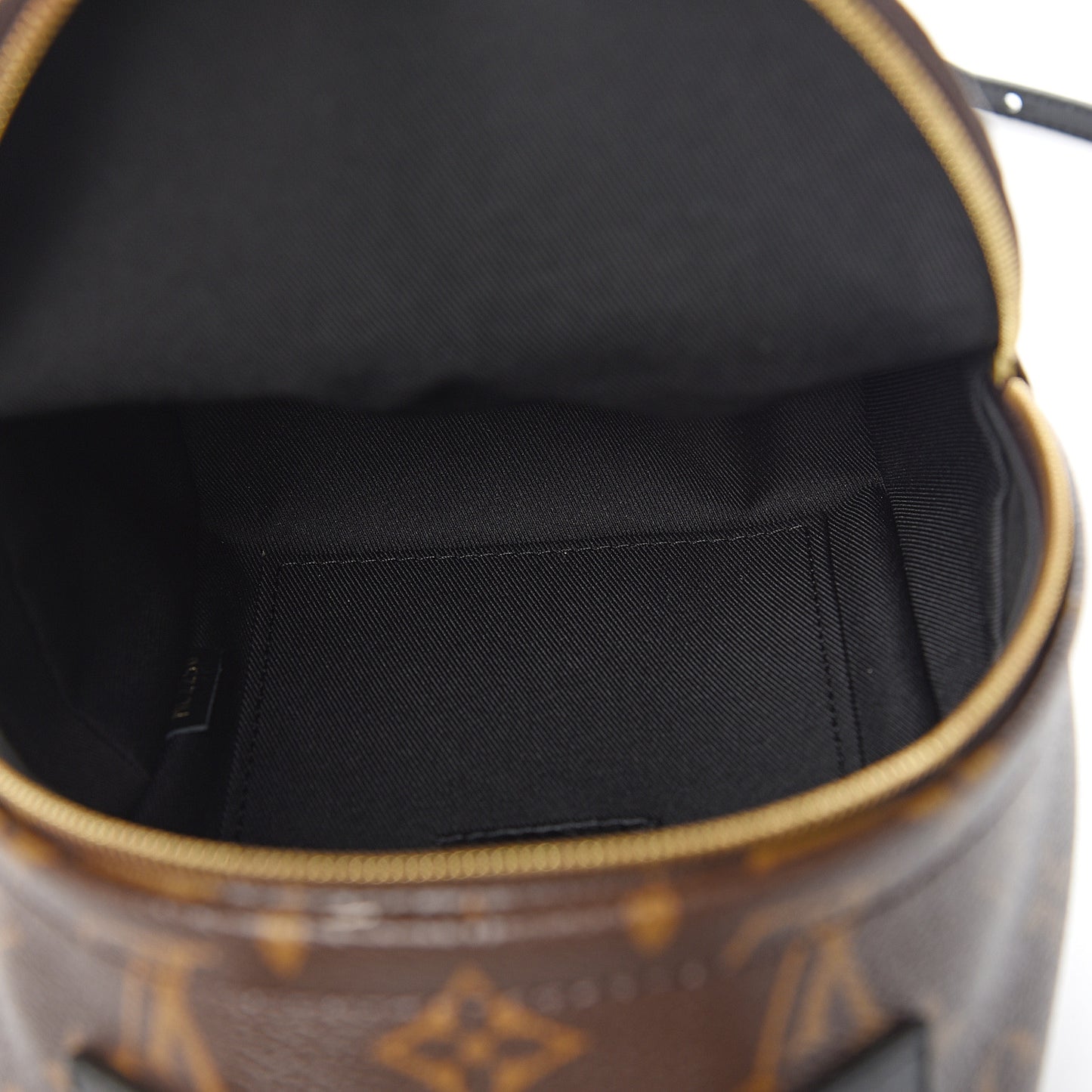 Monogram Palm Springs Backpack Mini
