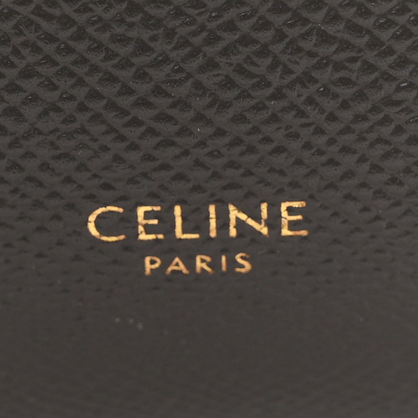 Grained Calfskin Nano Belt Bag Grey