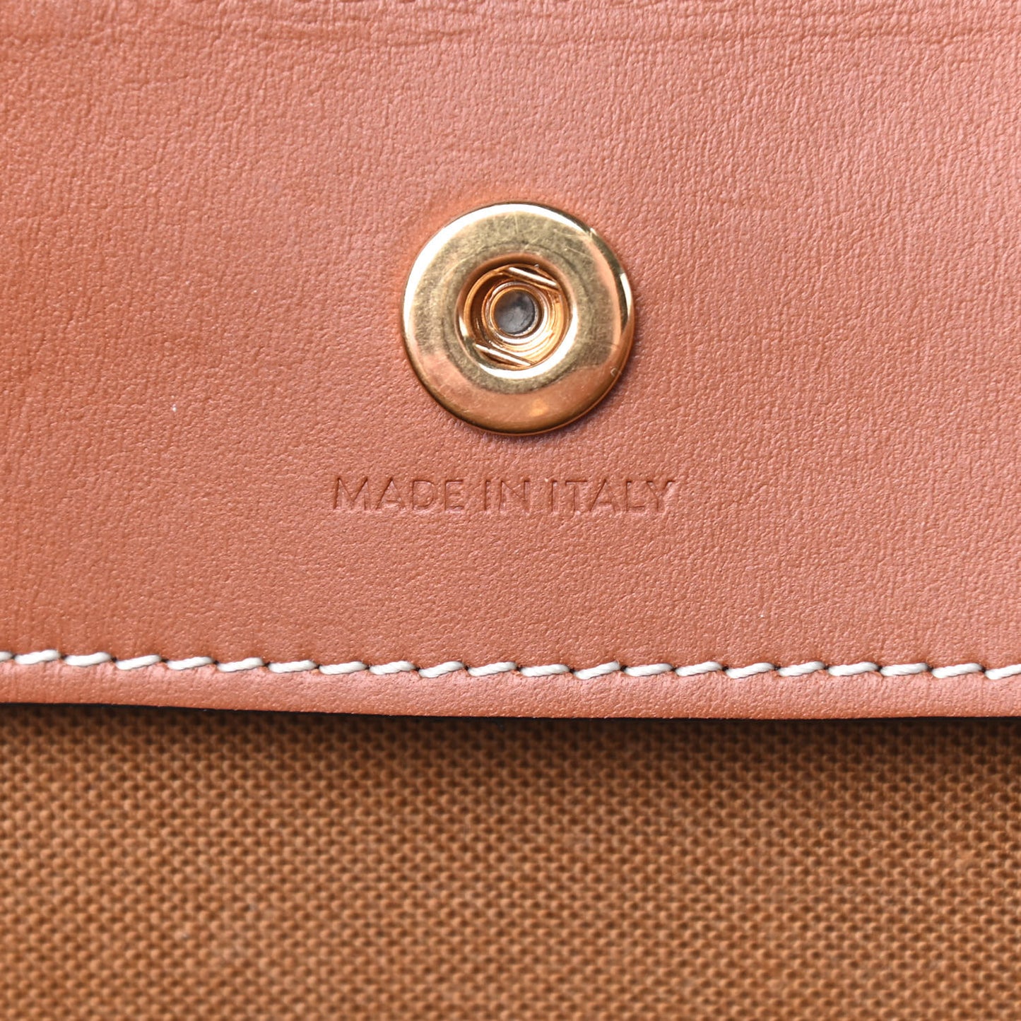 Triomphe Canvas Medium Cabas Bag Tan
