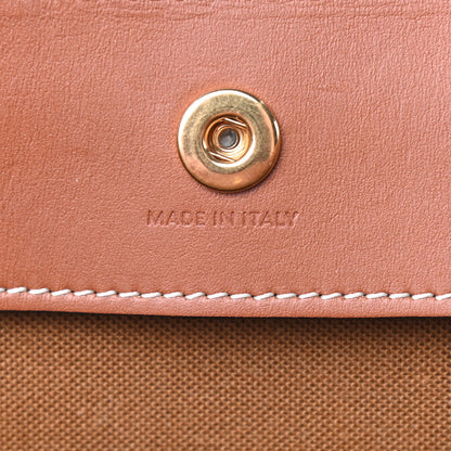 Celine Triomphe Canvas Medium Cabas Bag Tan 9 of 9