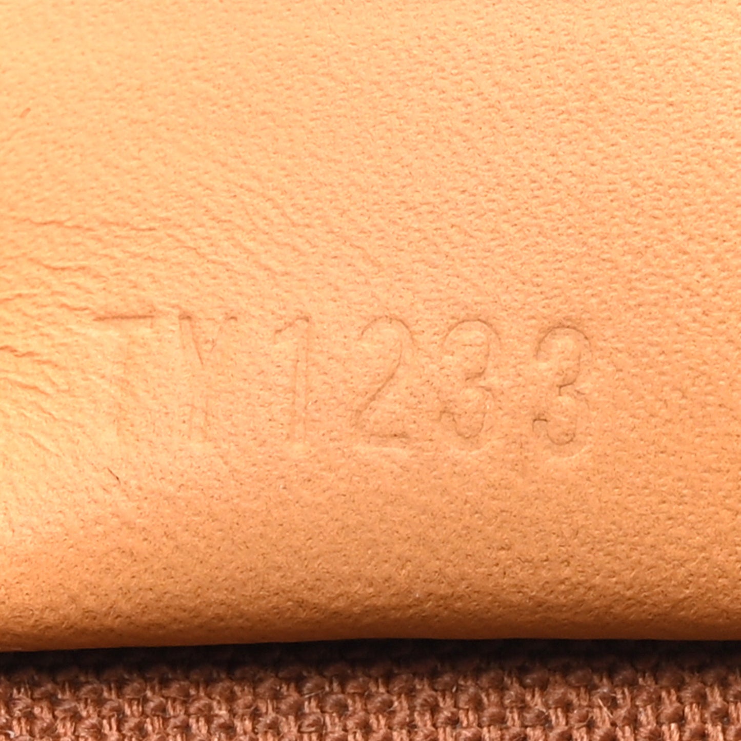 Monogram Nano Speedy Bandouliere