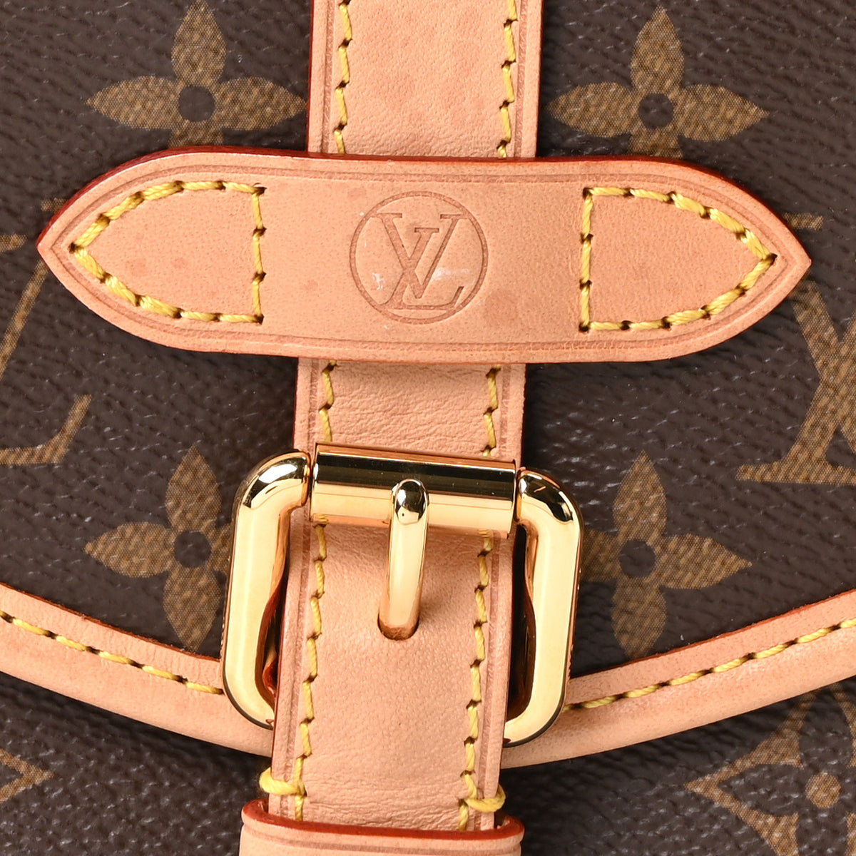 Louis Vuitton Monogram Saumur BB 7 of 9