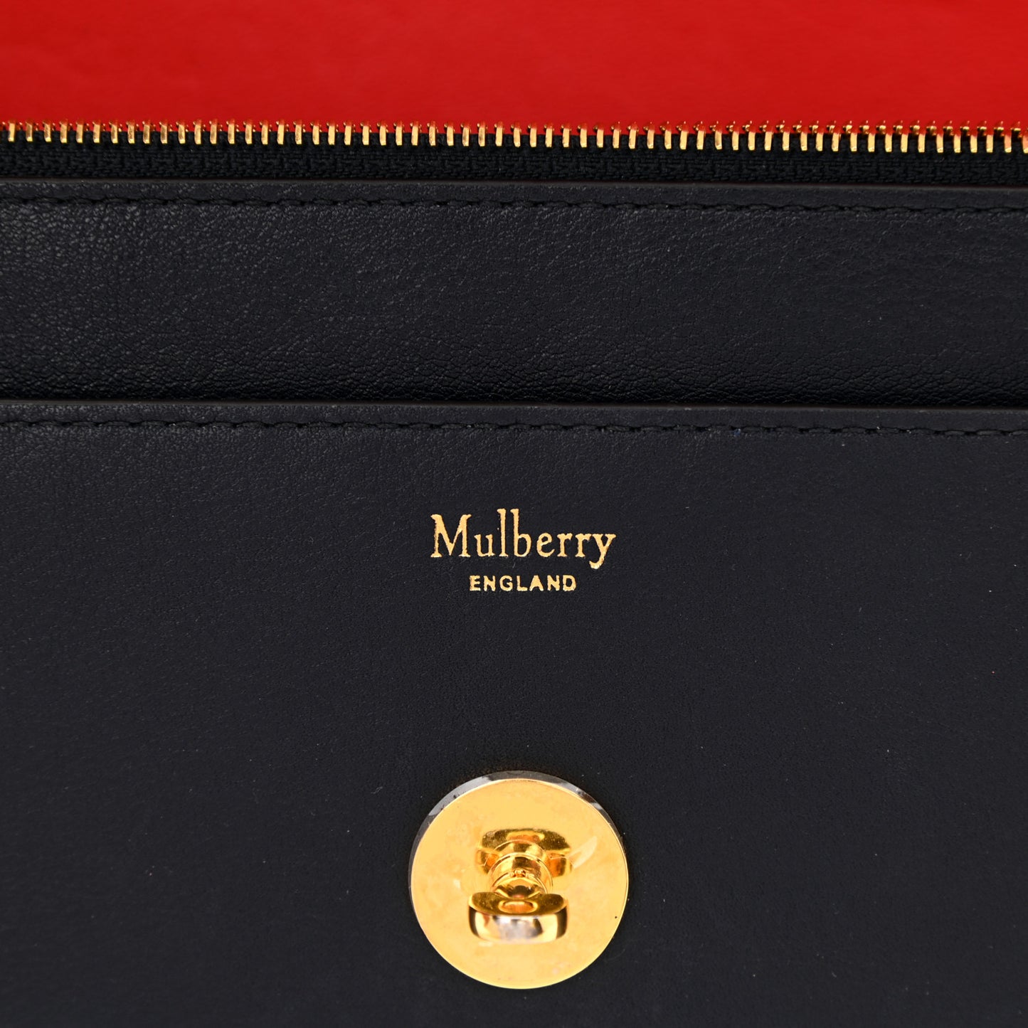 Embroidered Calfskin Small Darley Satchel Multicolor