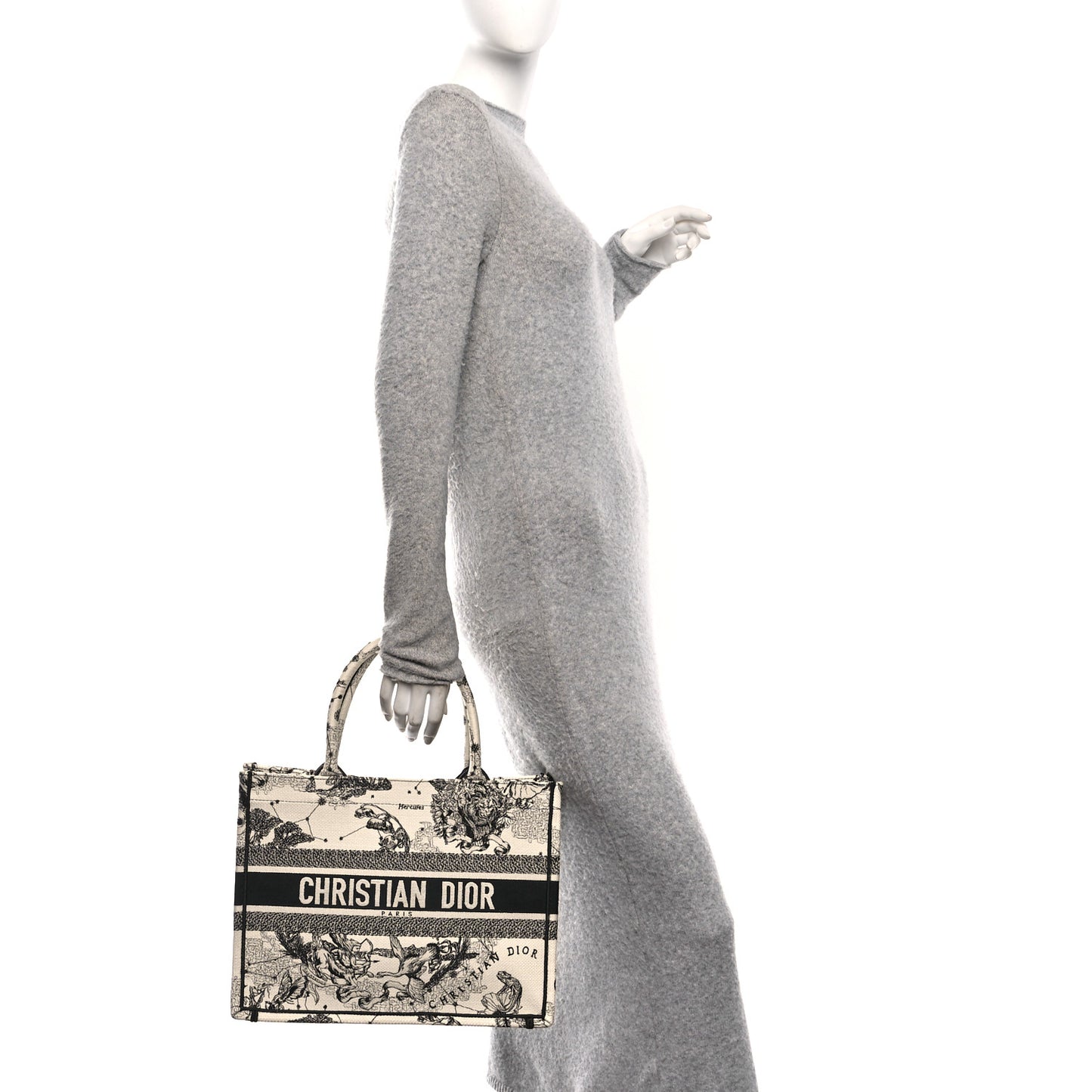 Canvas Zodiac Toile De Jouy Embroidered Medium Book Tote Latte