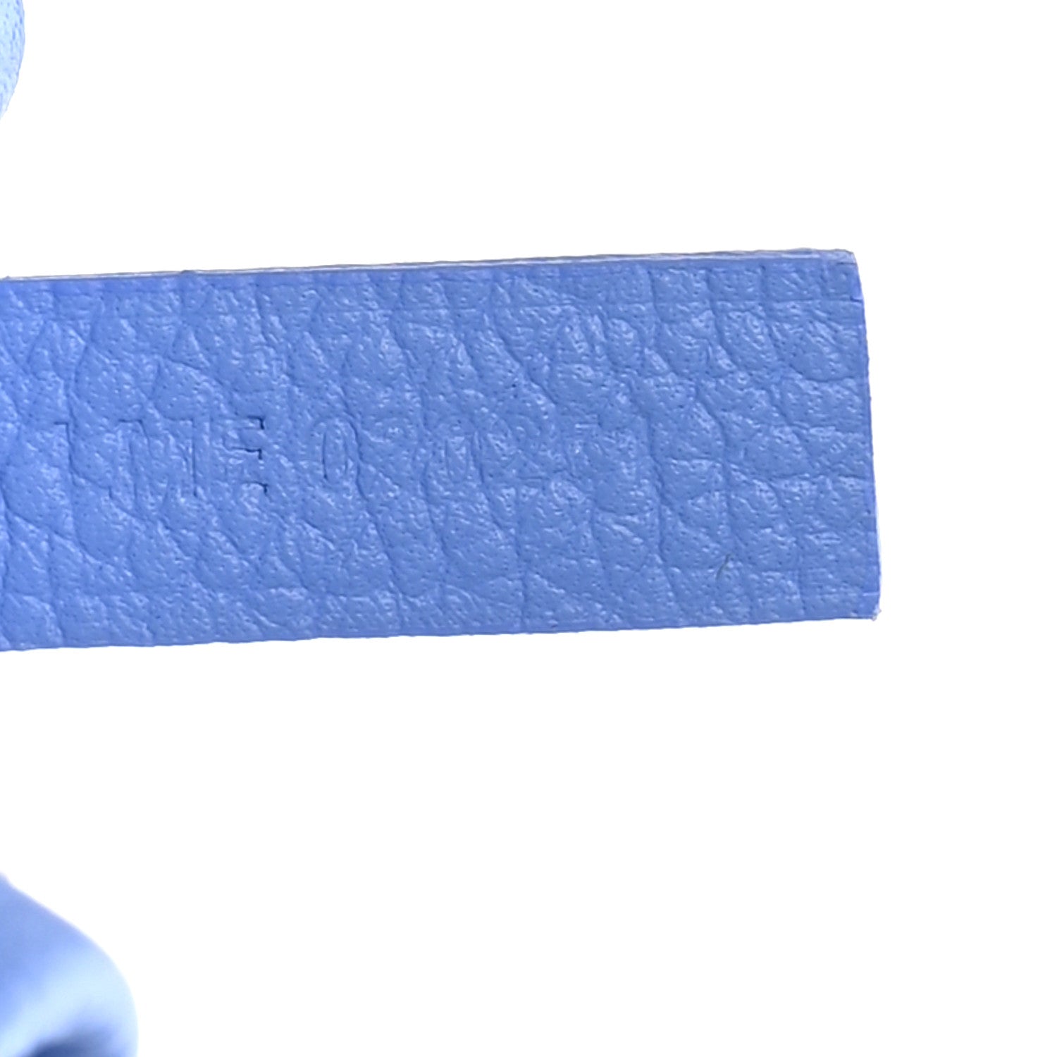 Goyard Goyardine Le Jardin Saint Louis GM Iris 8 of 11