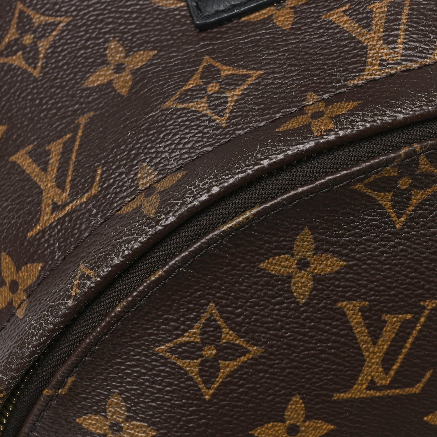 Louis Vuitton Monogram Palm Springs Backpack MM 11 of 13