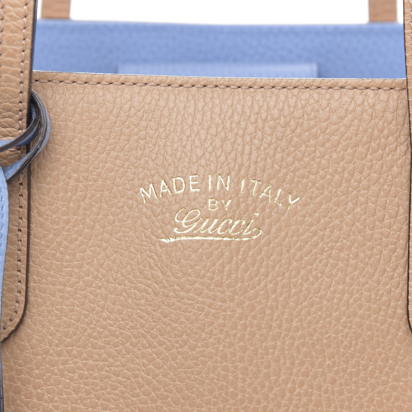 Dollar Calfskin Small Swing Tote Camelia Mineral Blue