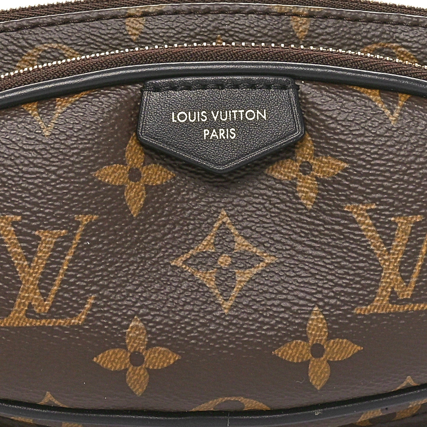 Monogram Keepit Bumbag