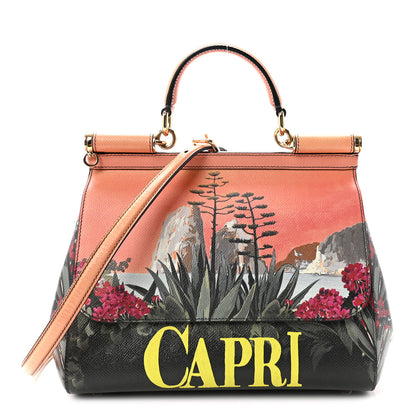 Dolce & Gabbana Dauphine Capri Printed Medium Miss Sicily Satchel Multicolor 1 of 9