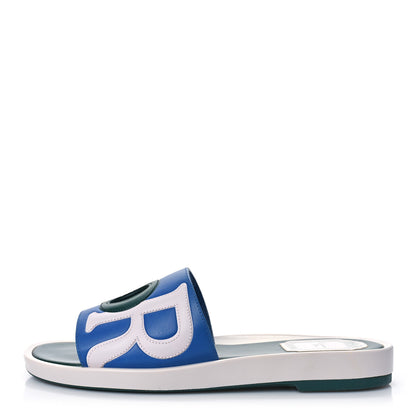 Christian Dior Calfskin Logo Slide Sandals 36 Multicolor 1 of 8