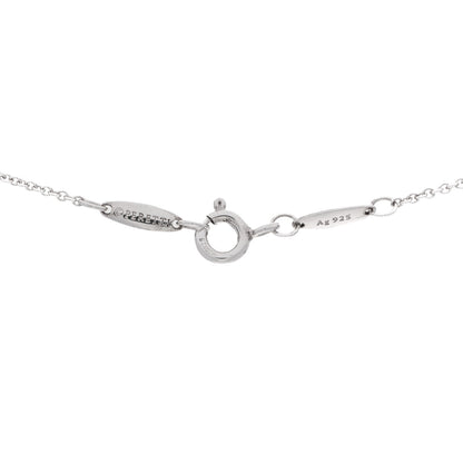 Tiffany Sterling Silver Pink Sapphire Elsa Peretti Color By The Yard Necklace 4 of 7