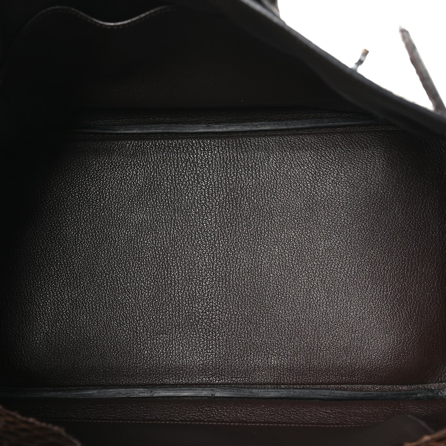 Shiny Porosus Crocodile Birkin 35 Havane