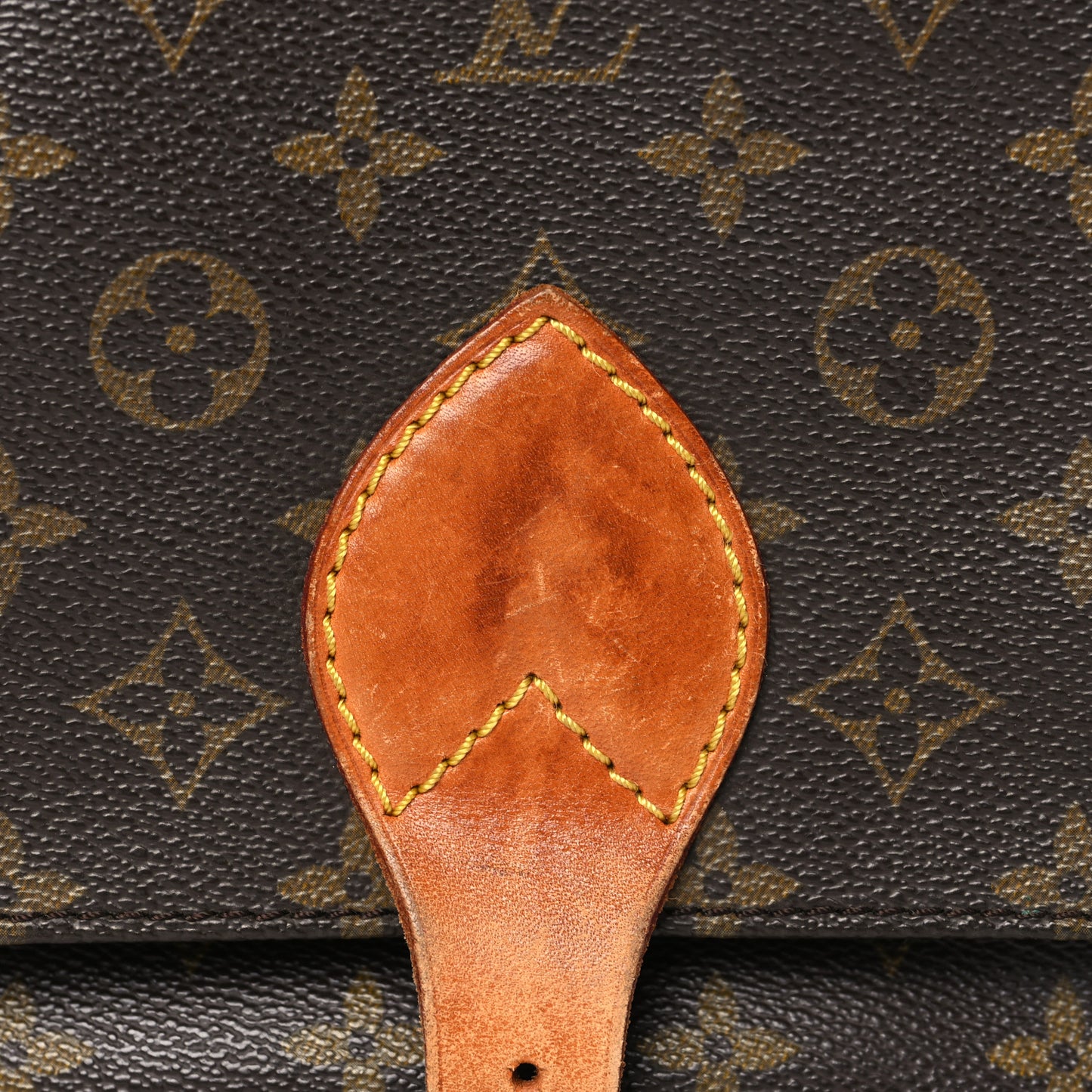 Monogram Cartouchiere 22