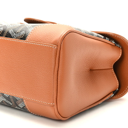Goyard Goyardine Mini Saigon Black Gold 8 of 8