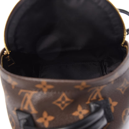 Louis Vuitton Monogram Palm Springs Backpack Mini 5 of 9