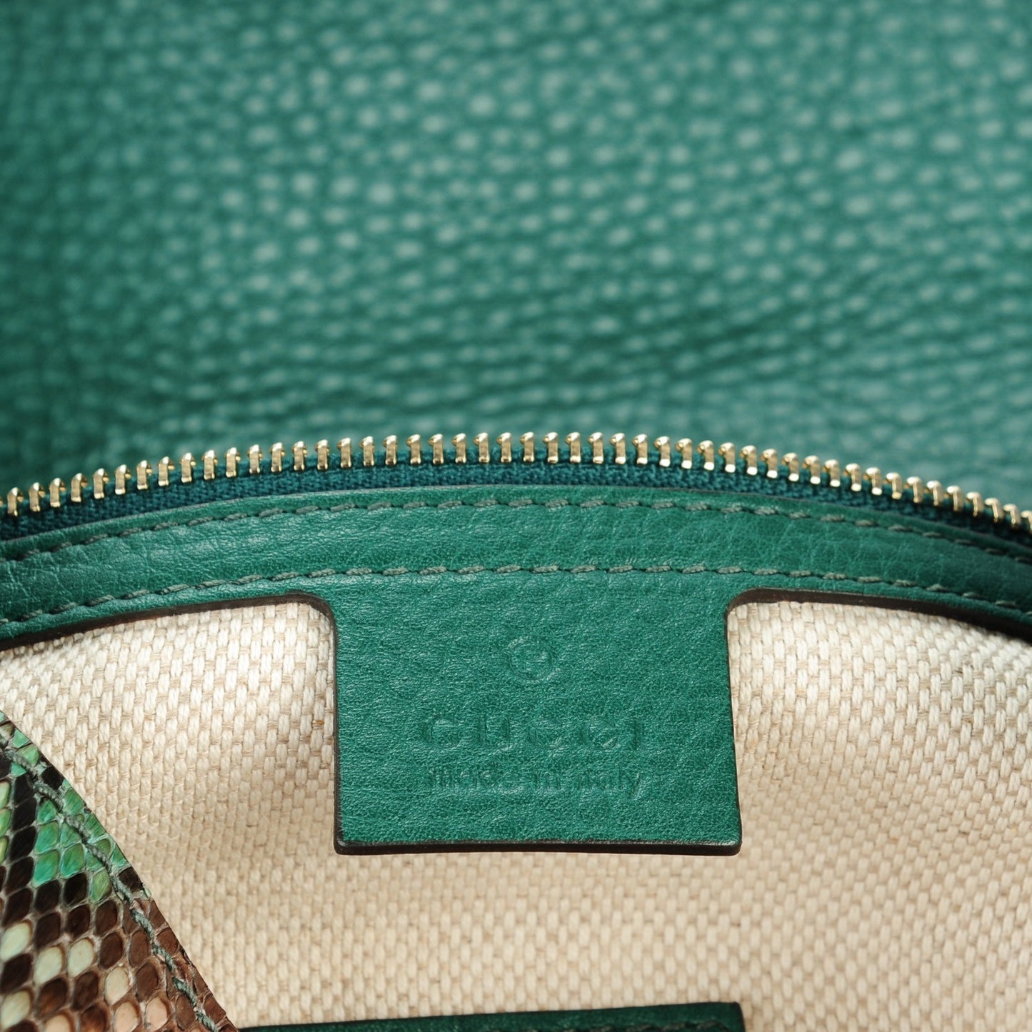 Python Medium Soho Clutch Green