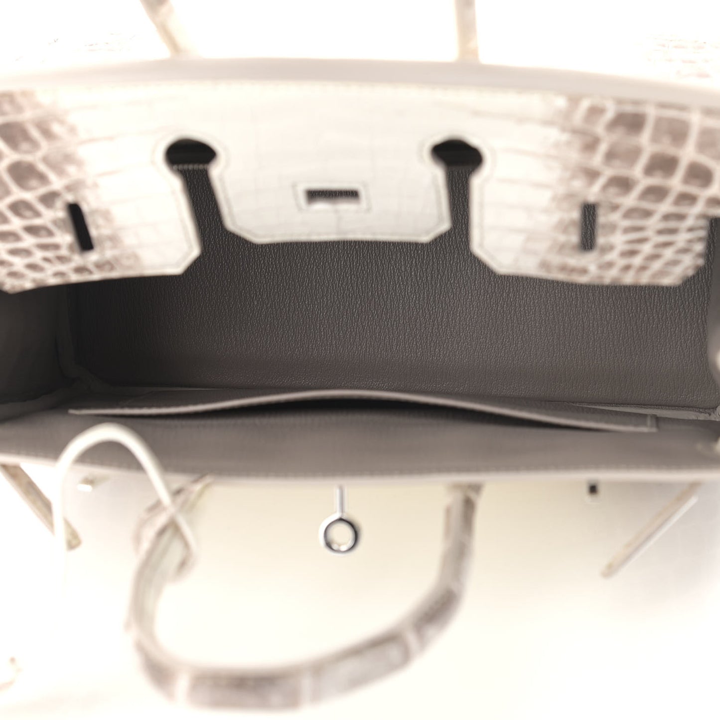 Matte Niloticus Crocodile Himalaya Birkin 25 Blanc