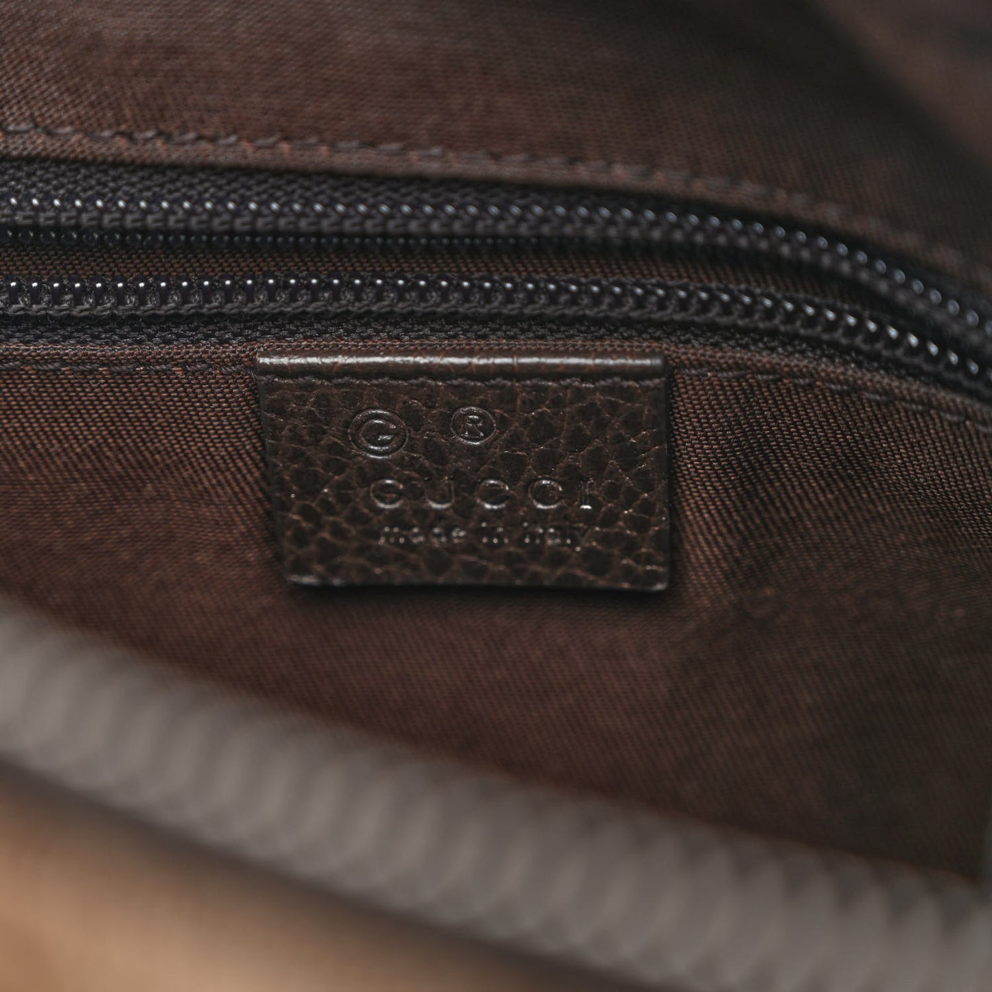 Monogram Dollar Calfskin Large Camera Case Beige Ebony Testa di Moro Marrone Scuro