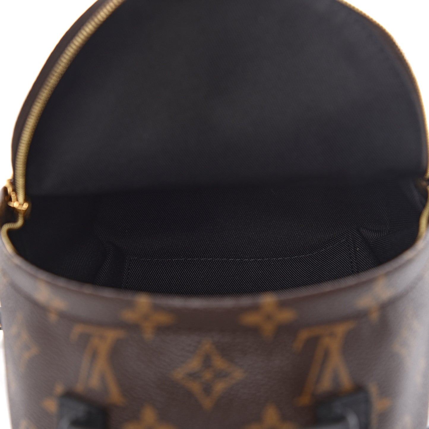 Monogram Palm Springs Backpack Mini
