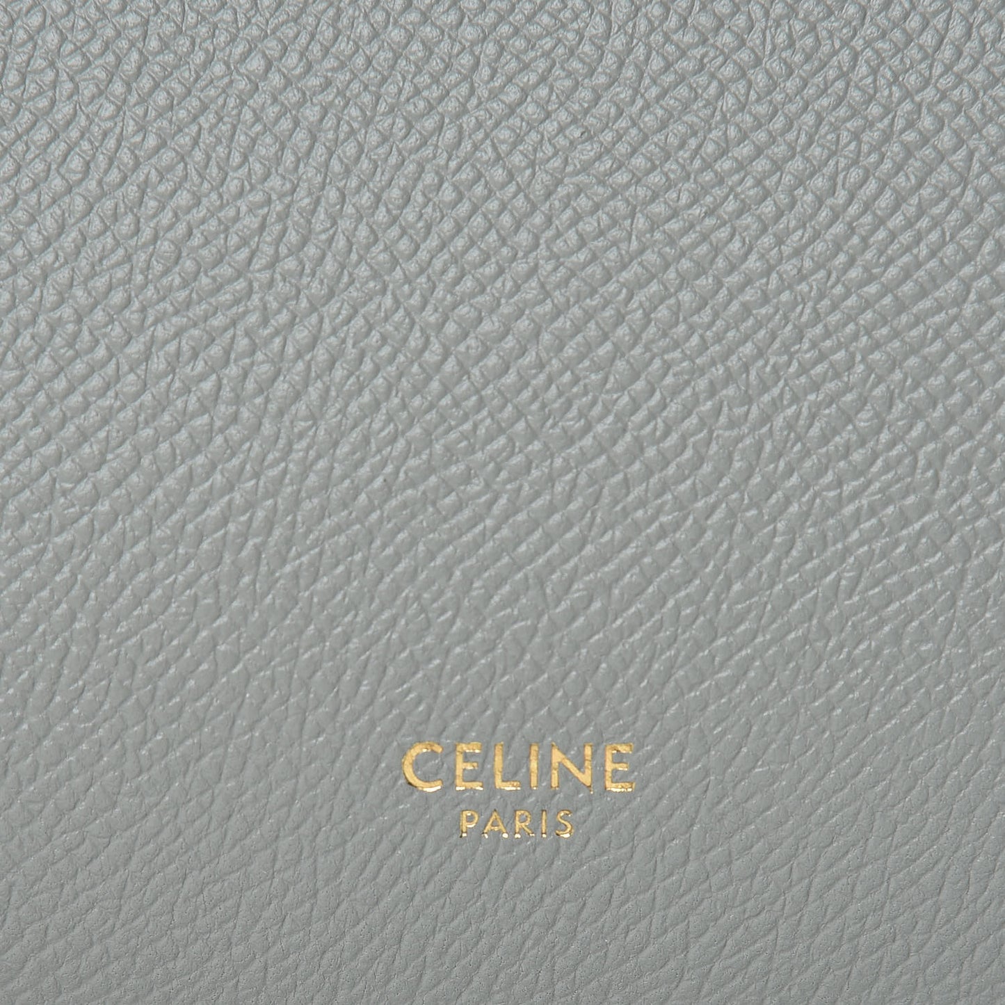 Grained Calfskin Micro Belt Bag Cloud