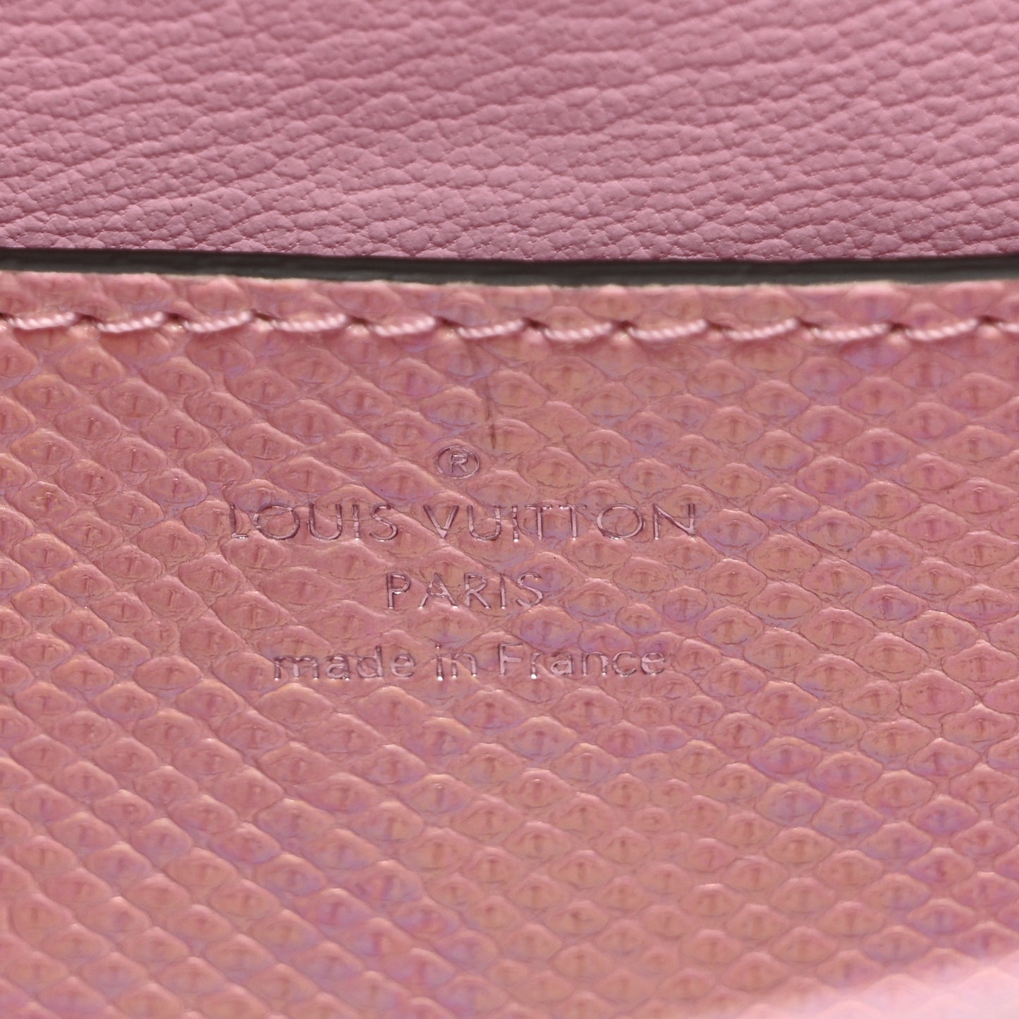Iridescent Lizard Rose Des Vents Mini Pink