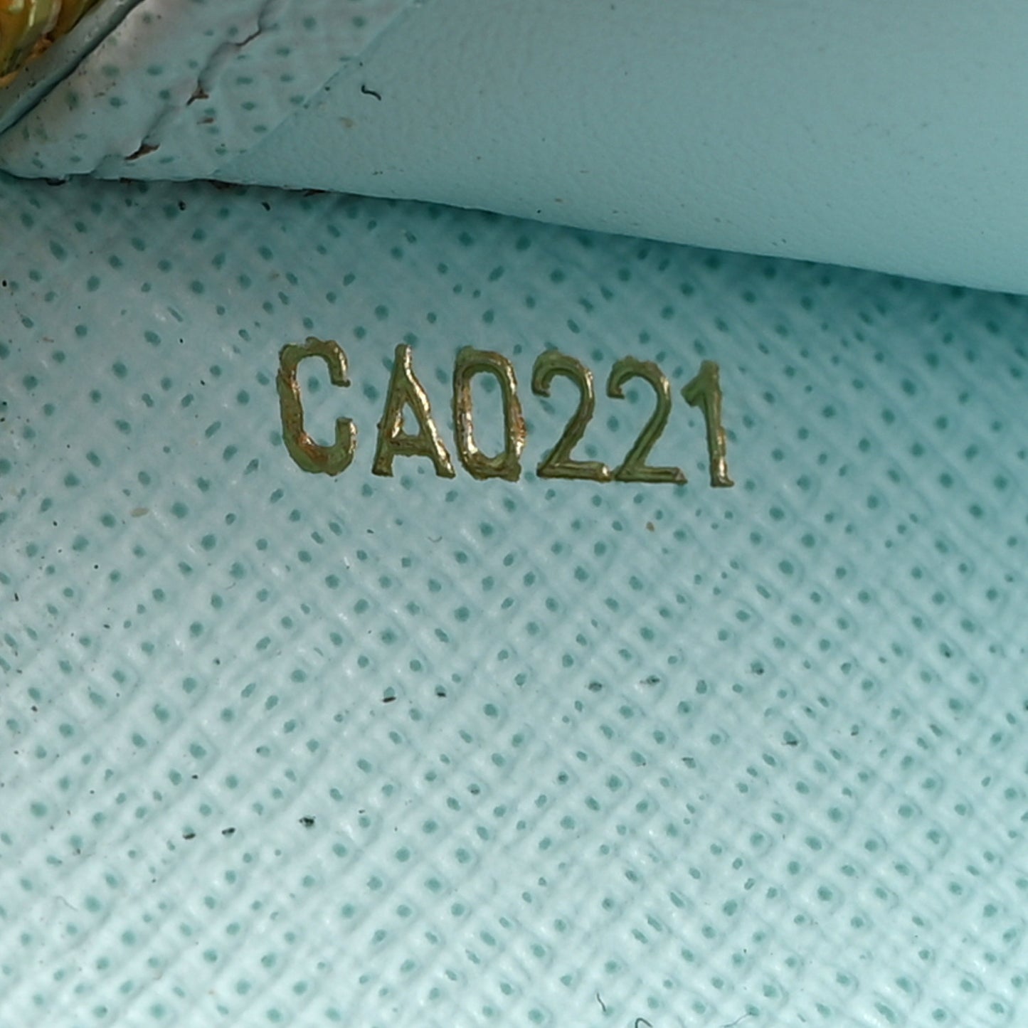 Monogram Giant By The Pool Zippy Wallet Blue