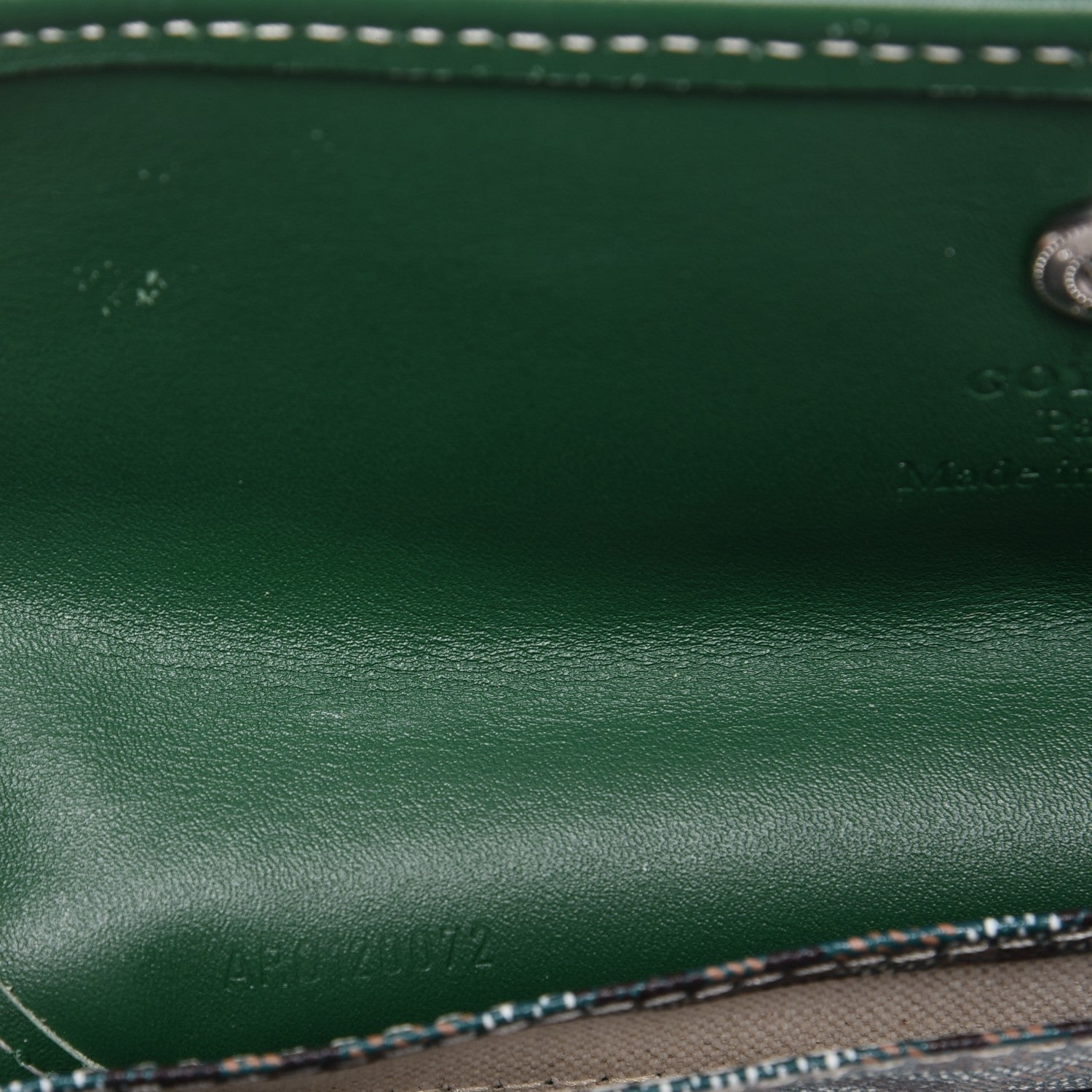 Goyard Goyardine Saint Louis PM Green 16 of 16