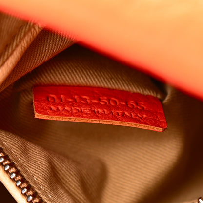 Chloe Calfskin Small Paraty Orange Fizz 6 of 10