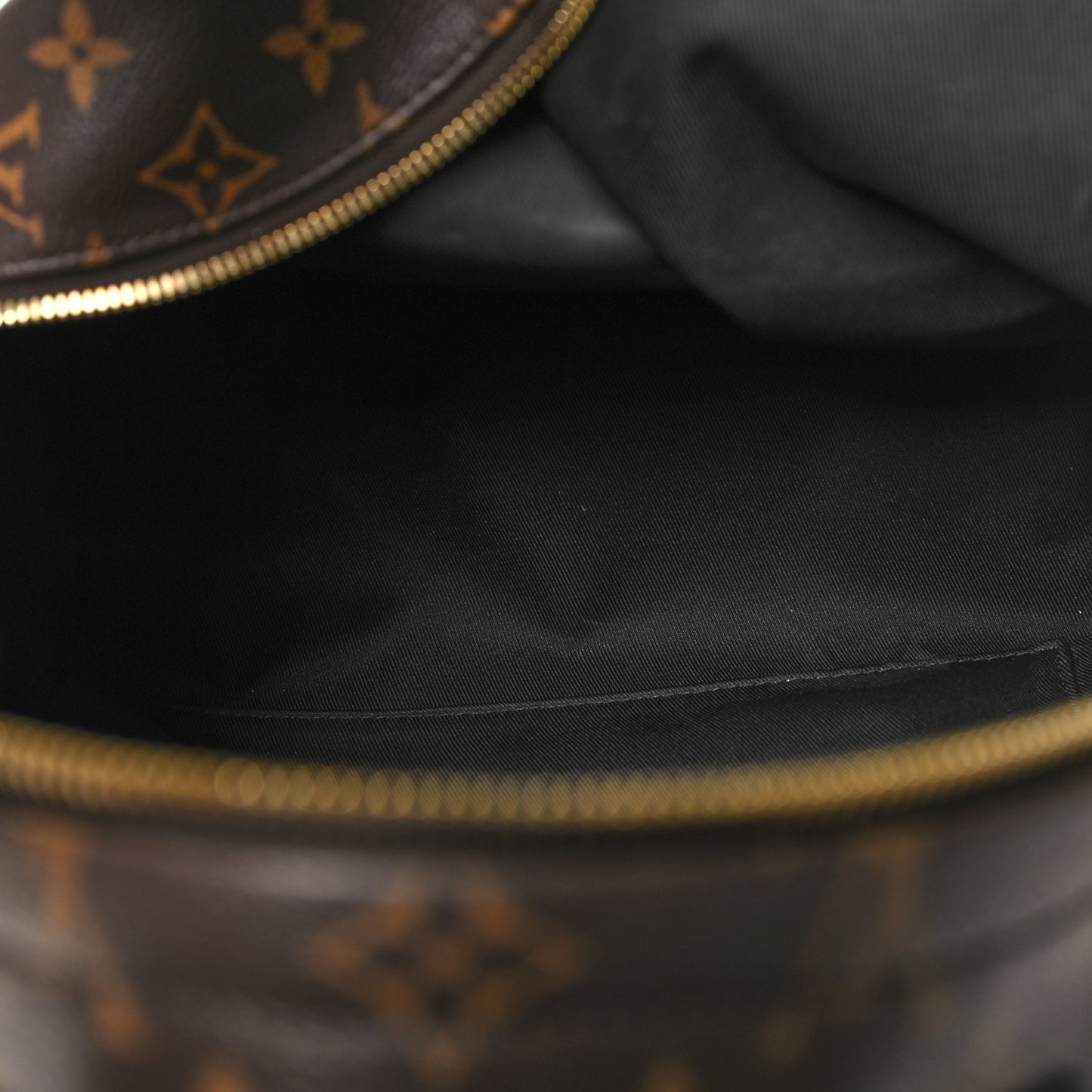 Monogram Palm Springs Backpack MM