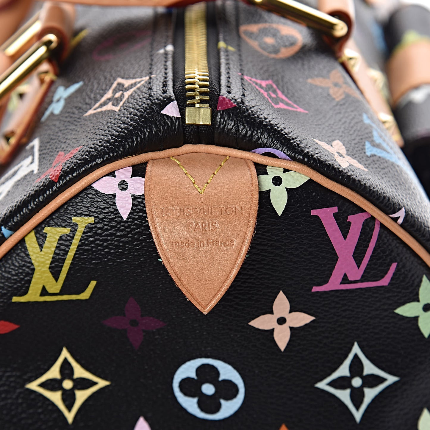 Monogram Multicolor Speedy 30 Black