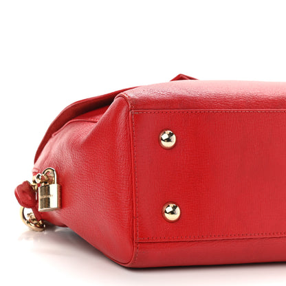 Mulberry Glossy Goatskin Small Del Rey Satchel Red 9 of 14