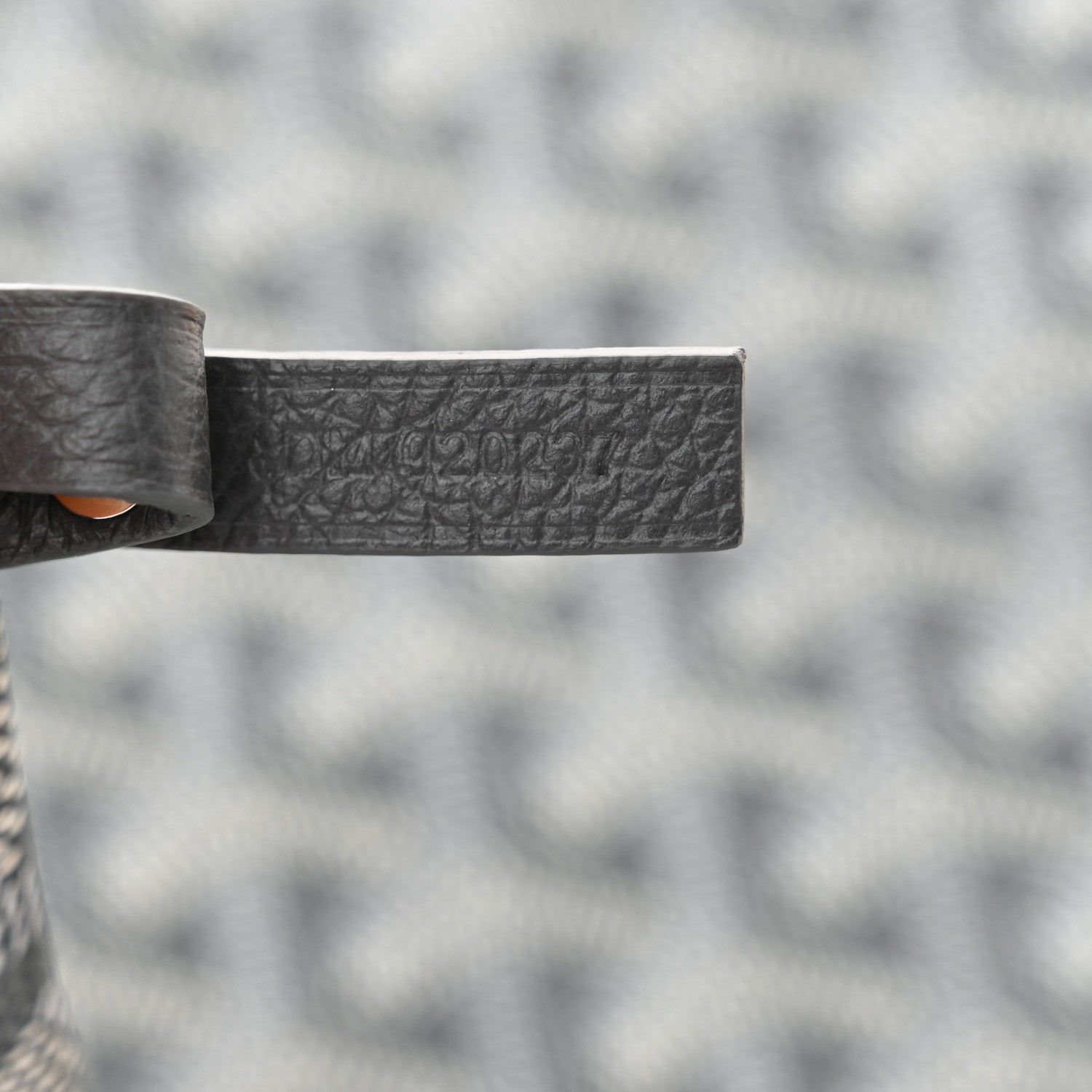 Goyard Goyardine Saint Louis PM Grey 8 of 11