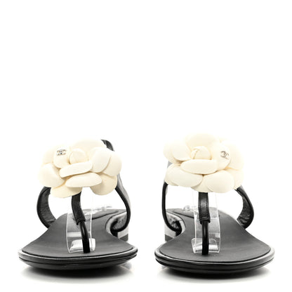 Chanel Lambskin Camellia Thong Sandals 36 Black White 2 of 8