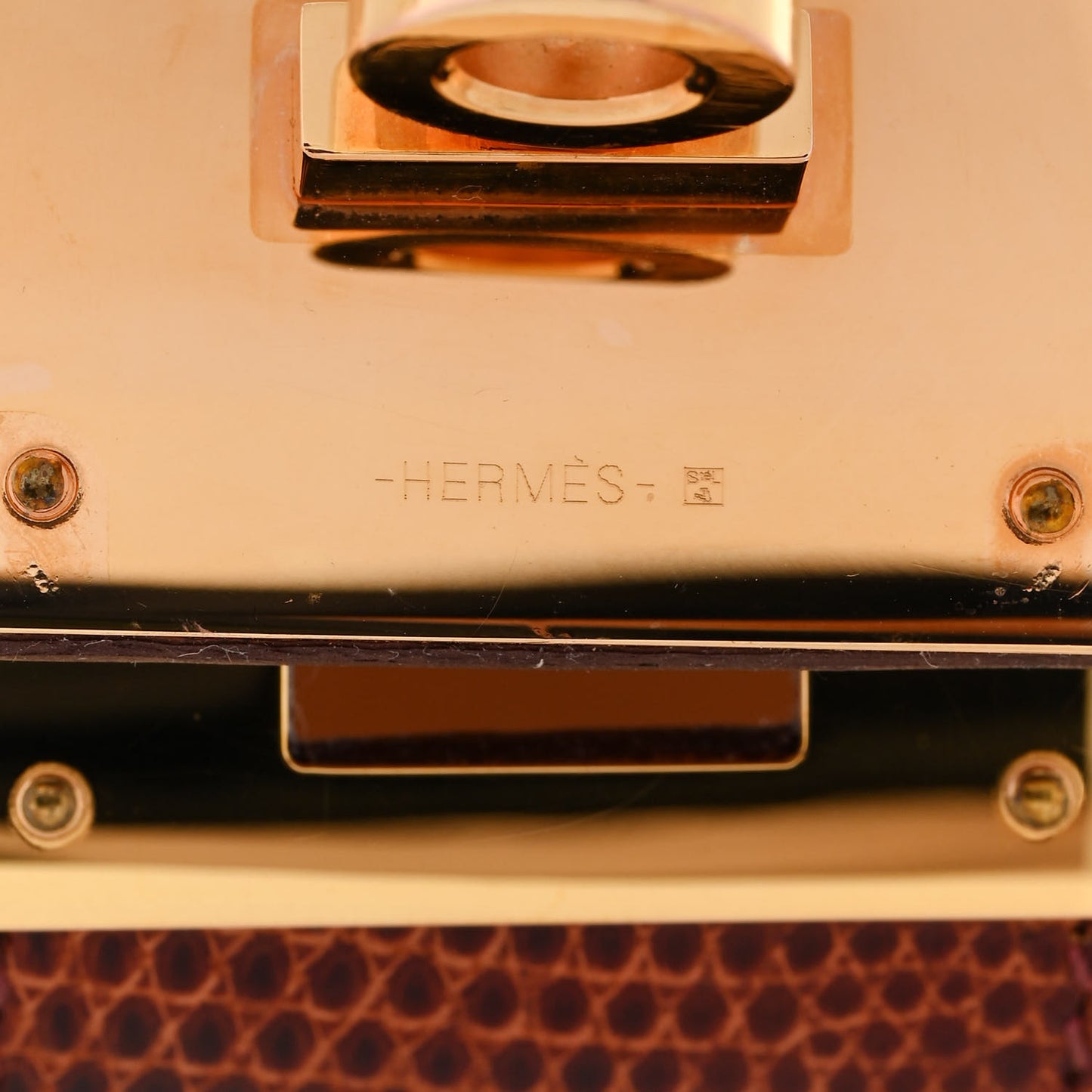 Lizard Kelly Dog Bracelet T1 Etrusque