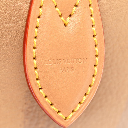 Louis Vuitton Calfskin Washed Stripes Speedy P9 Bandouliere 20 Camel 9 of 14