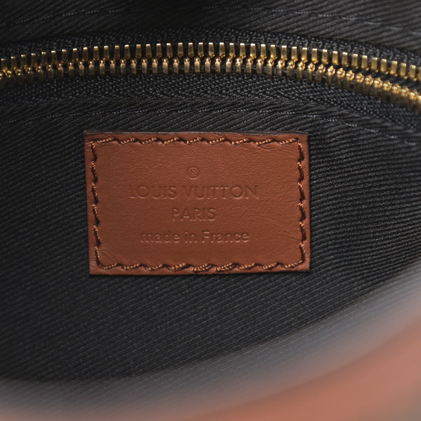 Reverse Monogram Dauphine Hobo PM