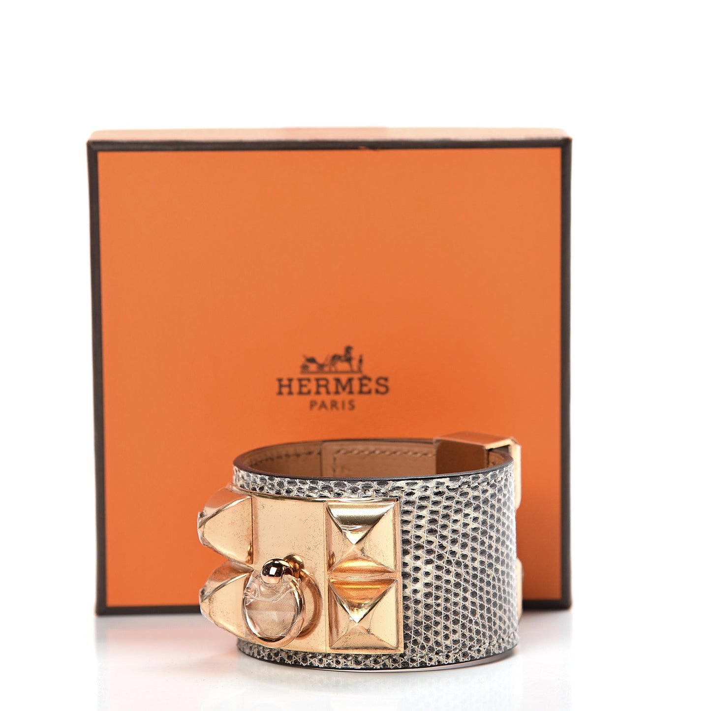 Lizard Collier De Chien CDC Bracelet T2 Ombre