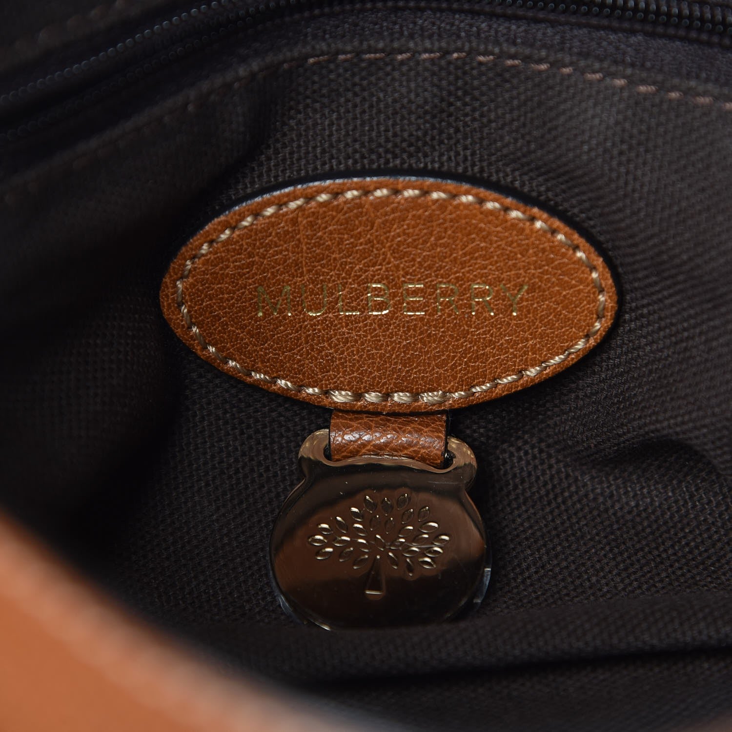 Mulberry Soft Buffalo Mini Alexa Oak 6 of 11