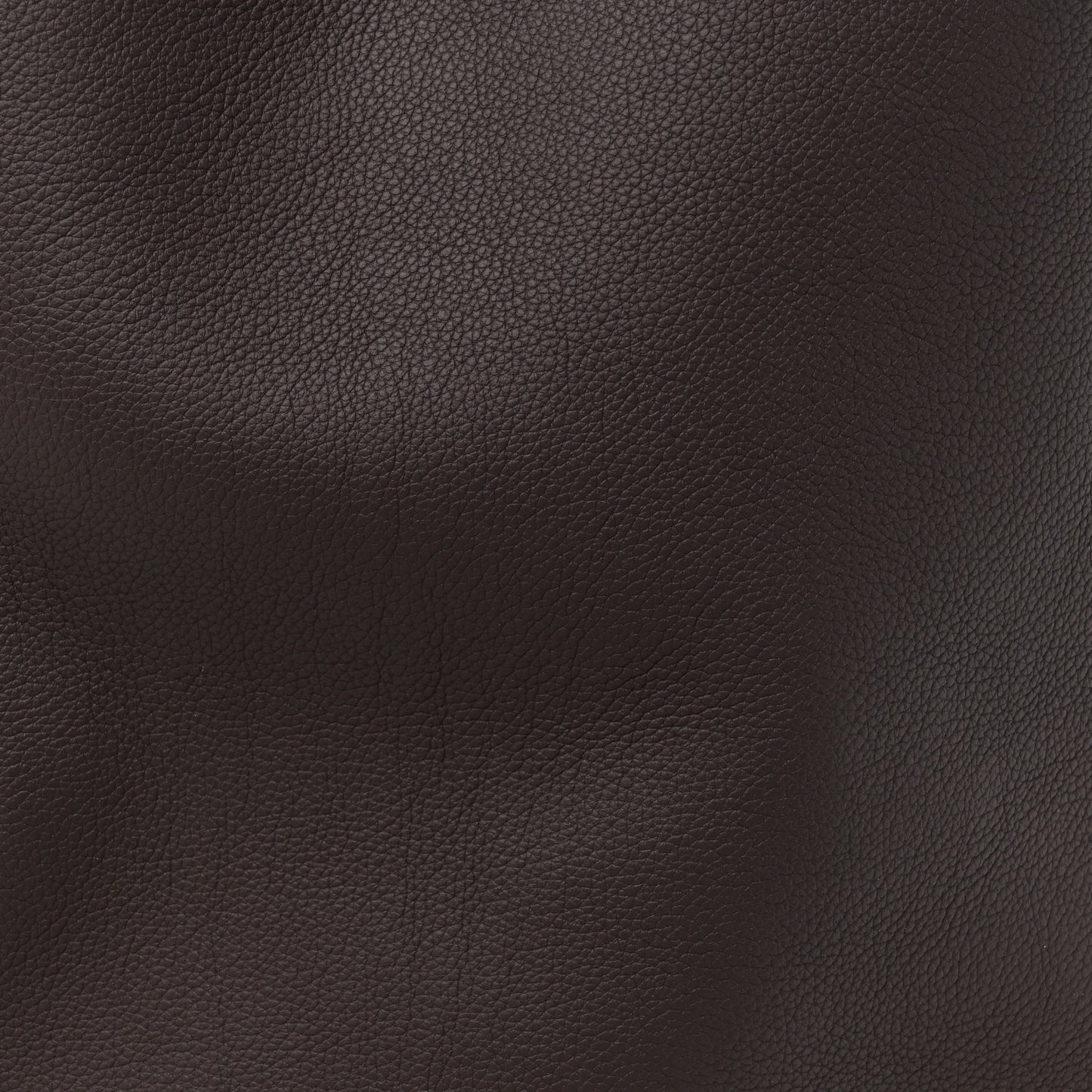 Grained Calfskin Low Key Hobo MM Ebene