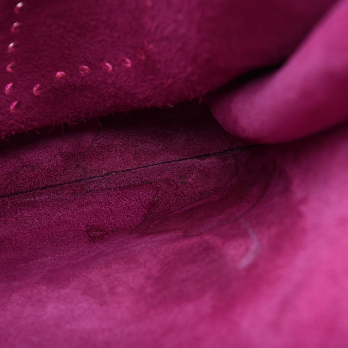 Taurillon Clemence Evelyne III PM Magnolia