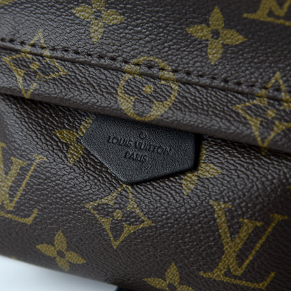 Louis Vuitton Monogram Palm Springs Backpack Mini 9 of 9